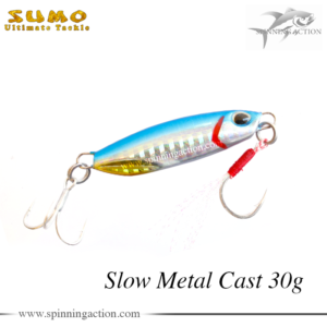 Jig Slow metal cast 30g
