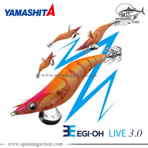 Yamashita Totanara Egi-O Q Live 3.0
