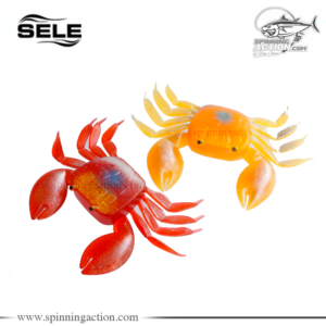 Granchio SELE